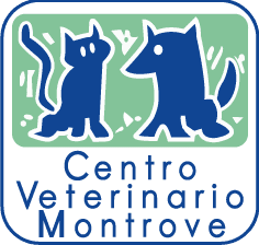 centro-veterinario-banner